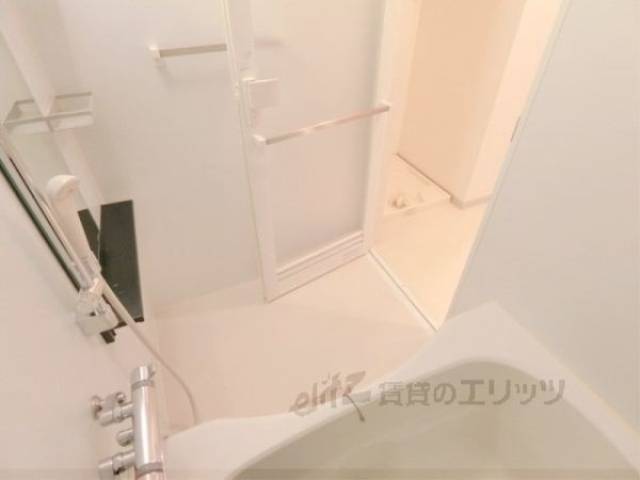 バス