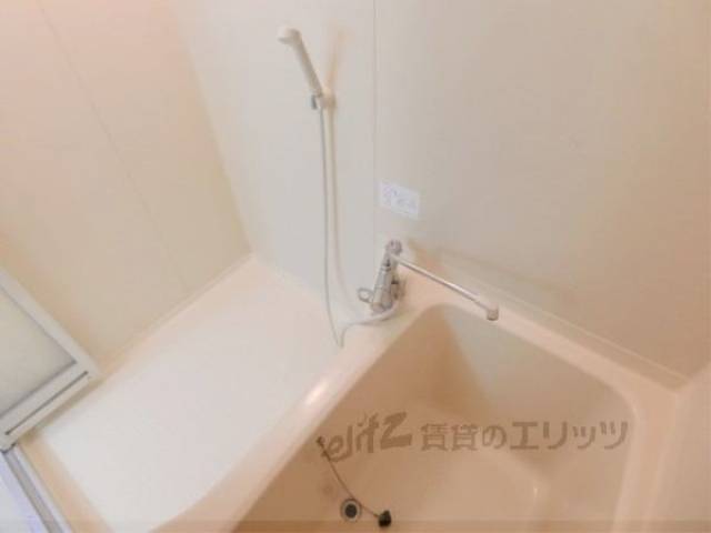 バス