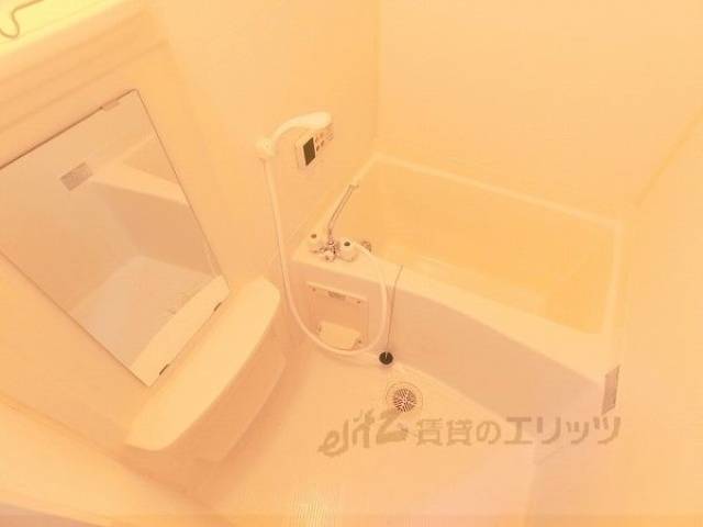 バス