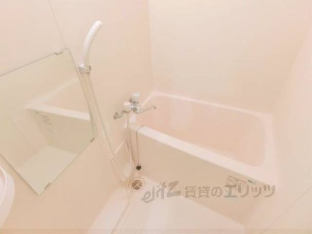 バス