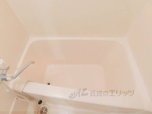 バス