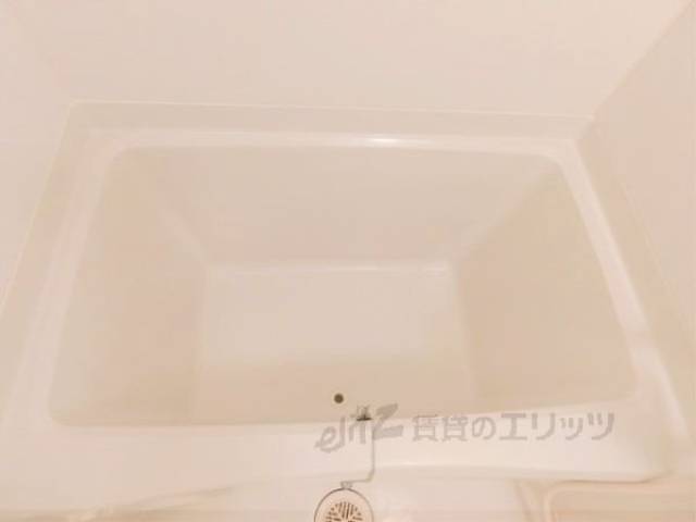 バス