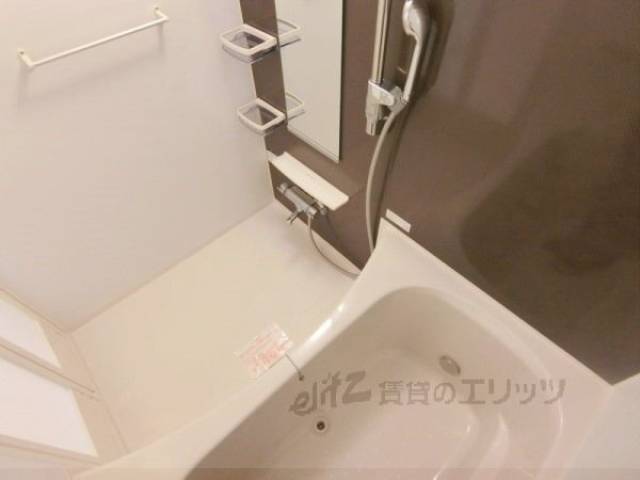バス