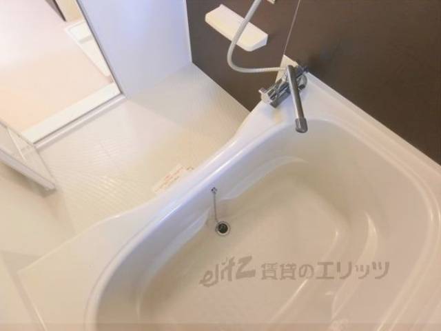 バス