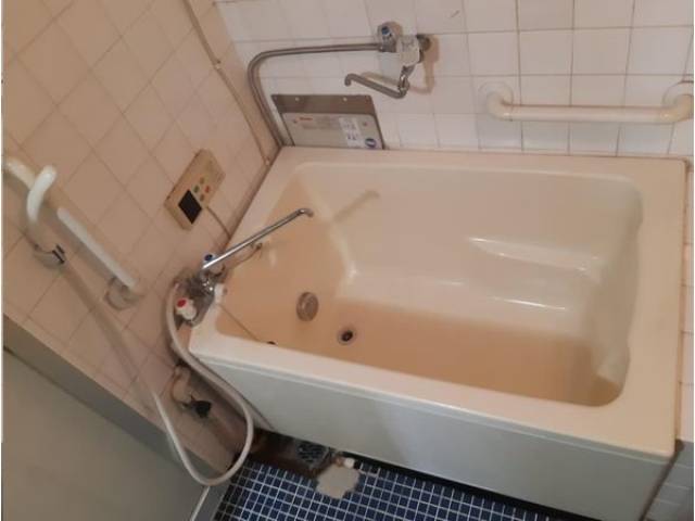 バス