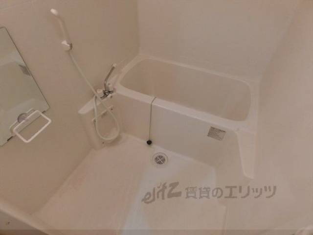 バス