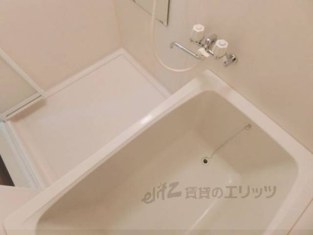 バス