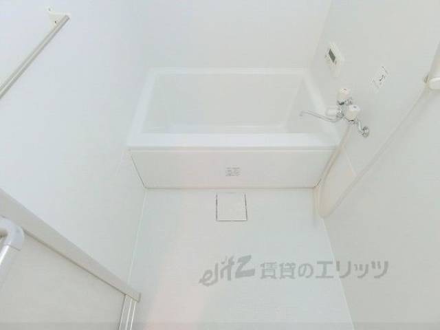 バス