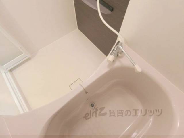 バス
