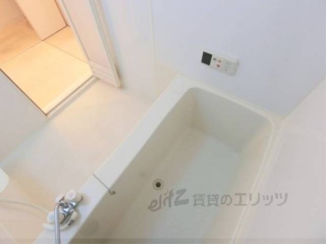 バス