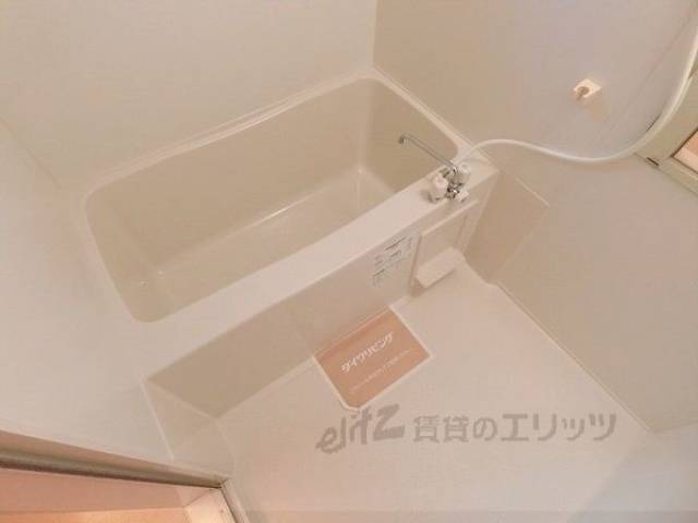 バス