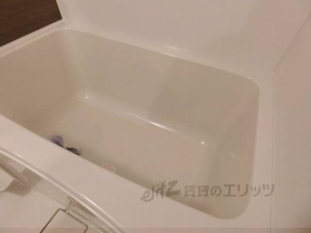 バス
