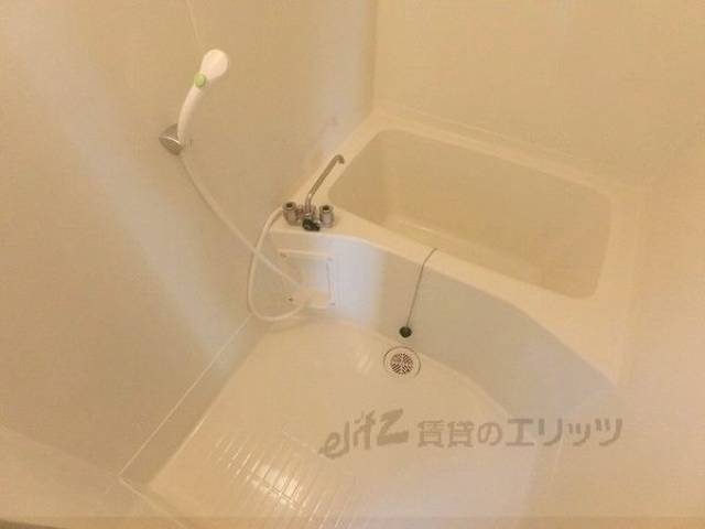 バス