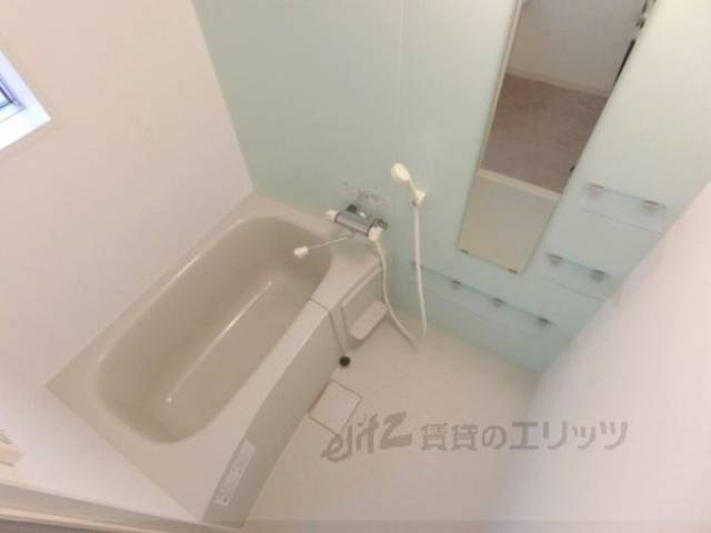 バス
