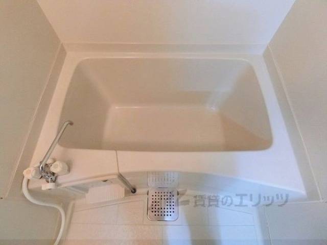 バス