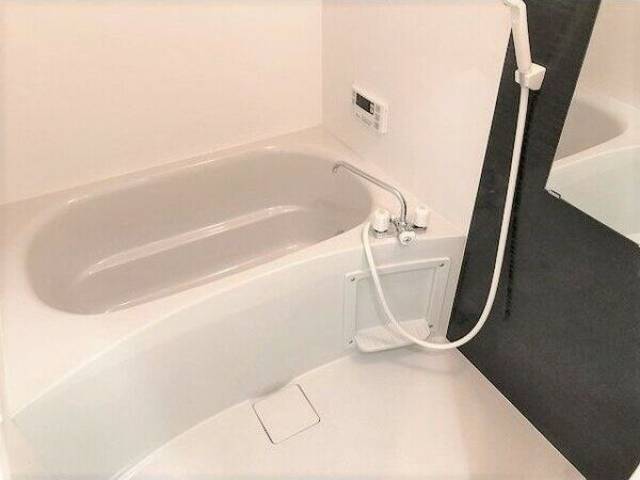 バス