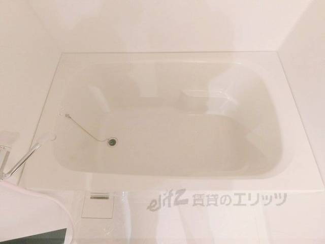 バス