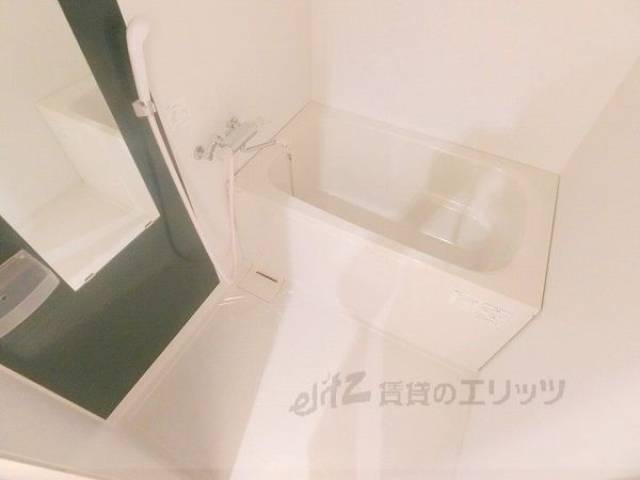 バス
