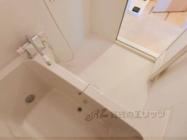 バス