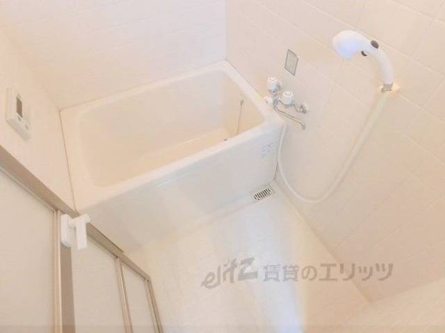 バス