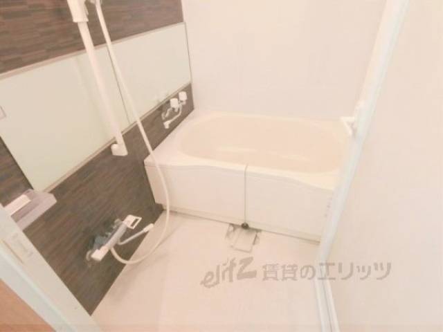 バス