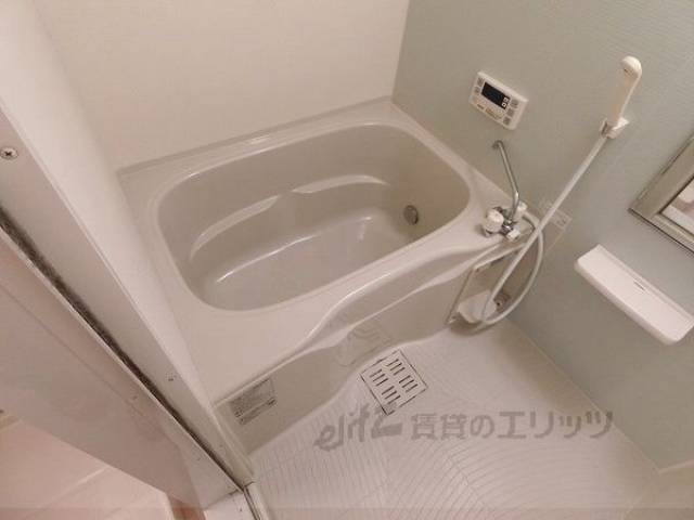 バス