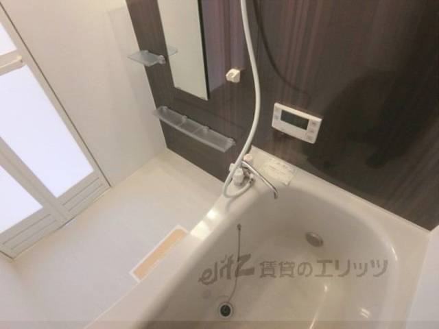 バス
