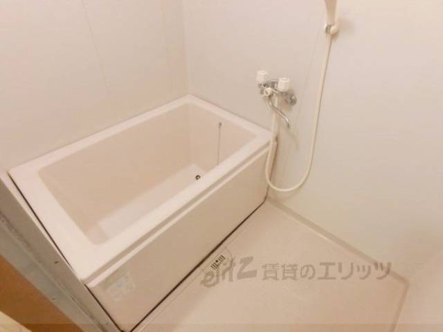 バス