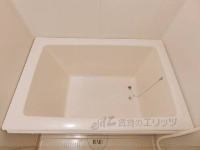 バス