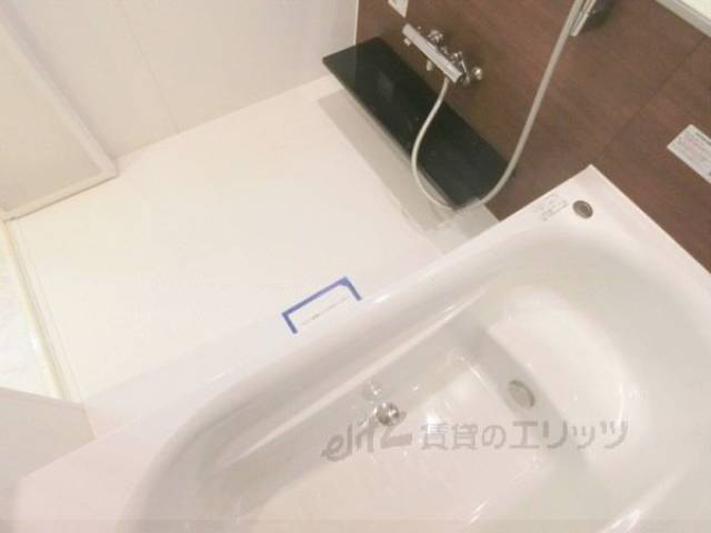 バス