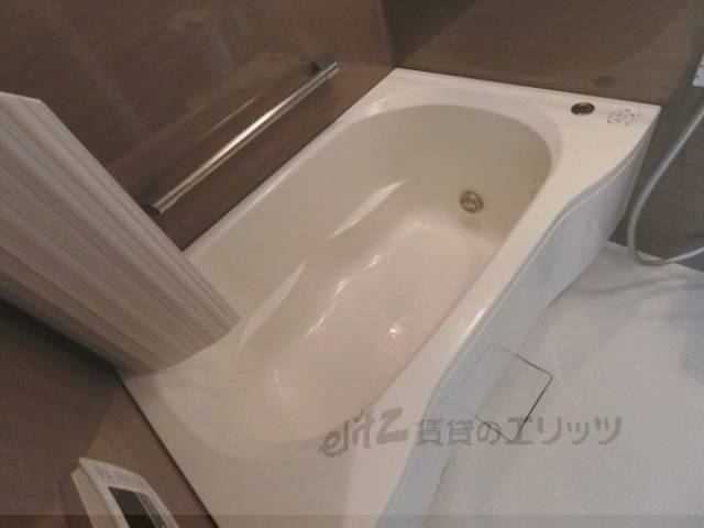 バス