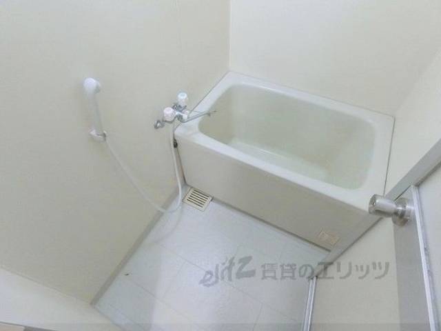 バス