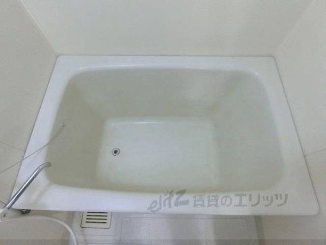 バス