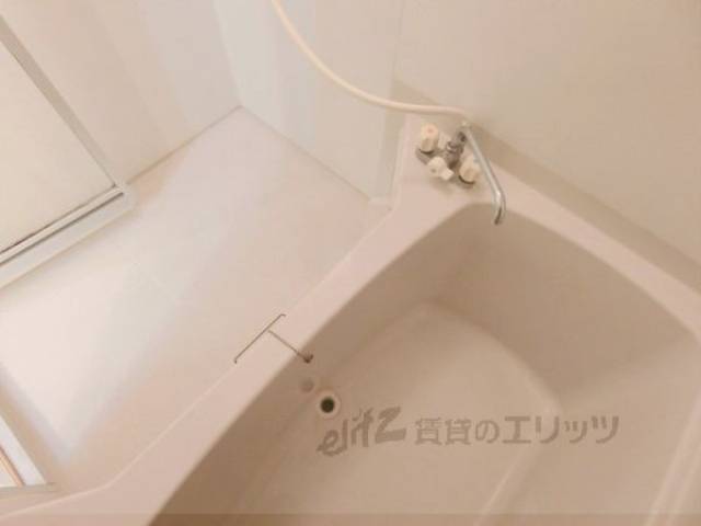 バス