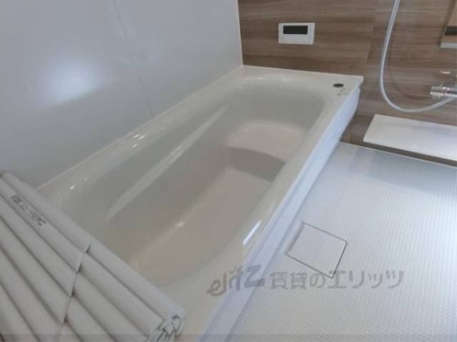 バス