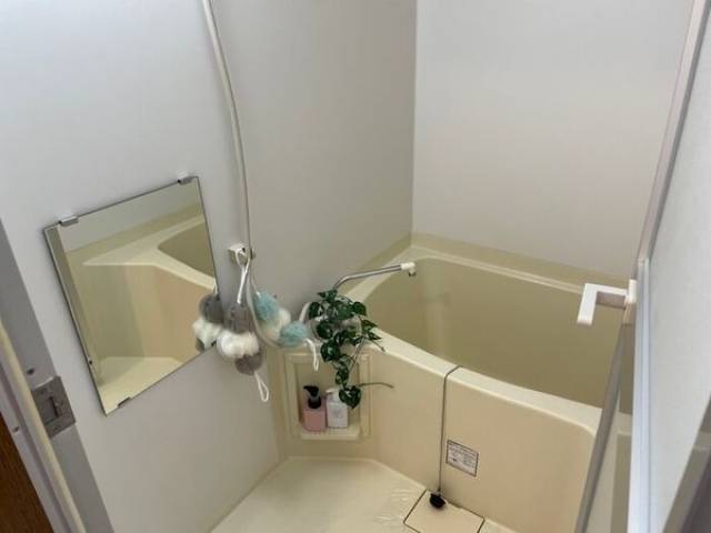 バス