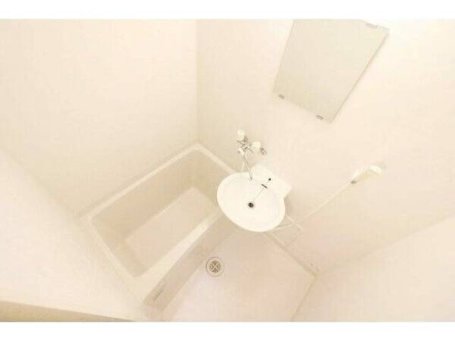 バス