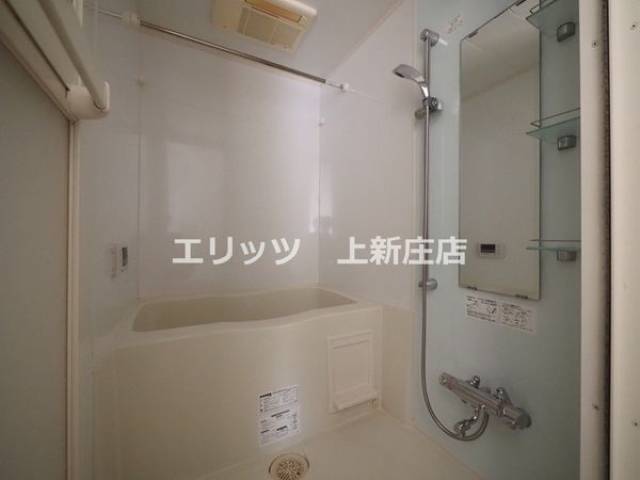 バス