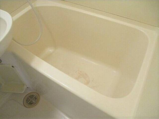 バス