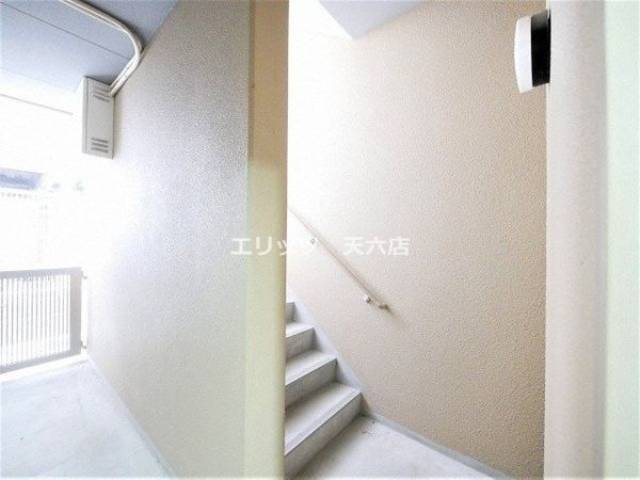 バス