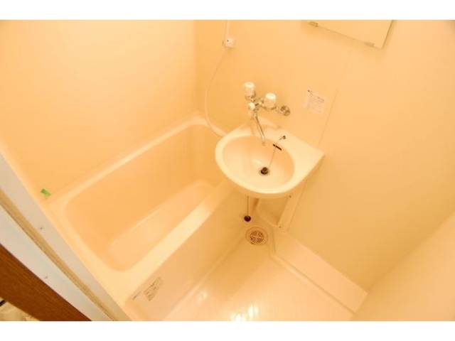 バス