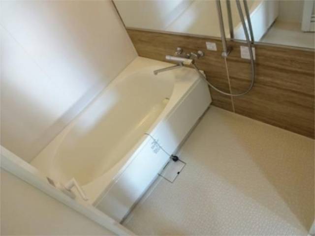 バス