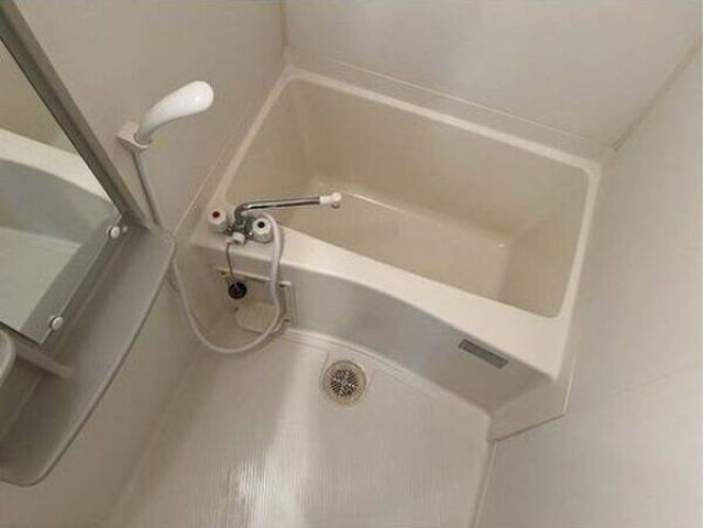 バス