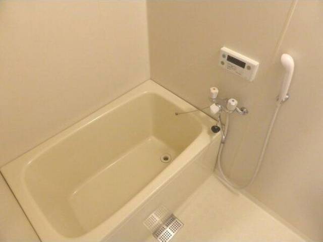 バス
