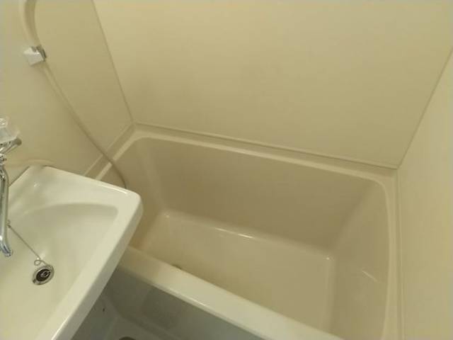 バス