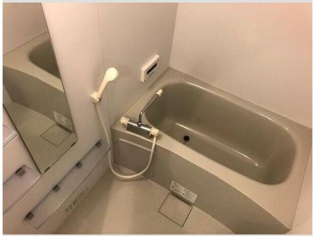 バス