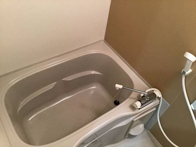 バス