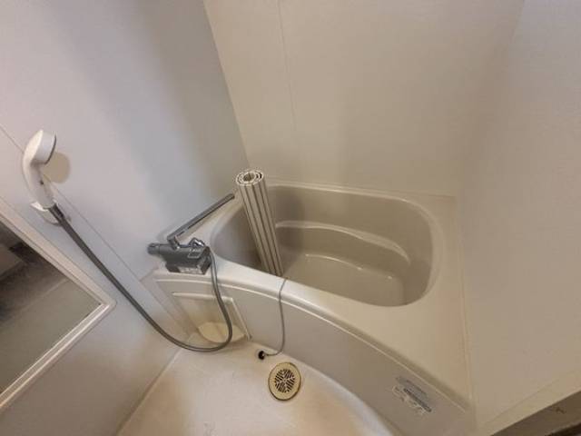 バス