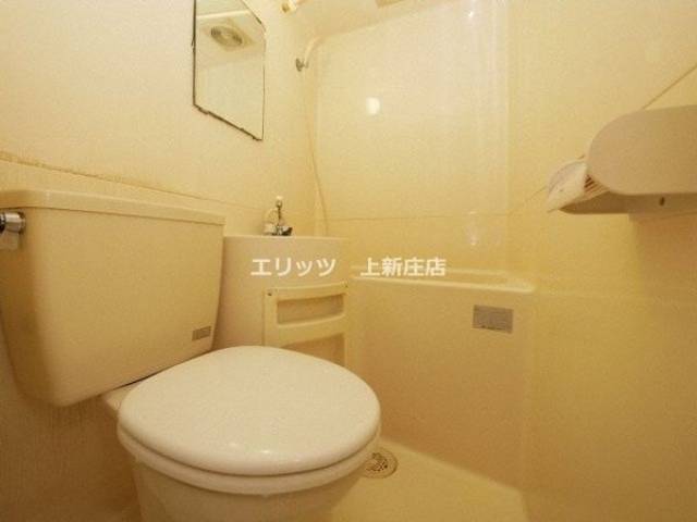 バス