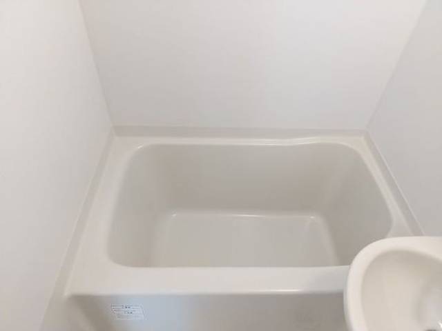 バス
